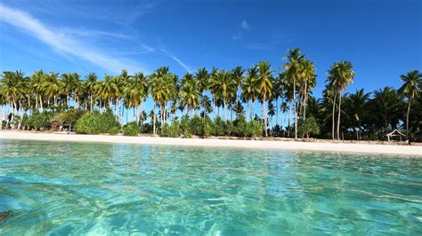 siargao scandal|Geldstrafe für Touristen nach Orgie auf den Philippinen.